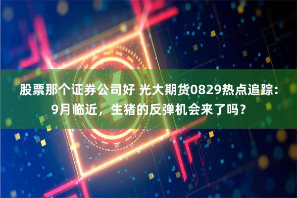 股票那个证券公司好 光大期货0829热点追踪：9月临近，生猪的反弹机会来了吗？